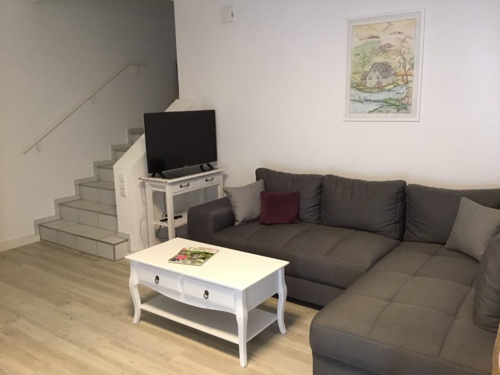 Wohnzimmer mit Schlafcouch